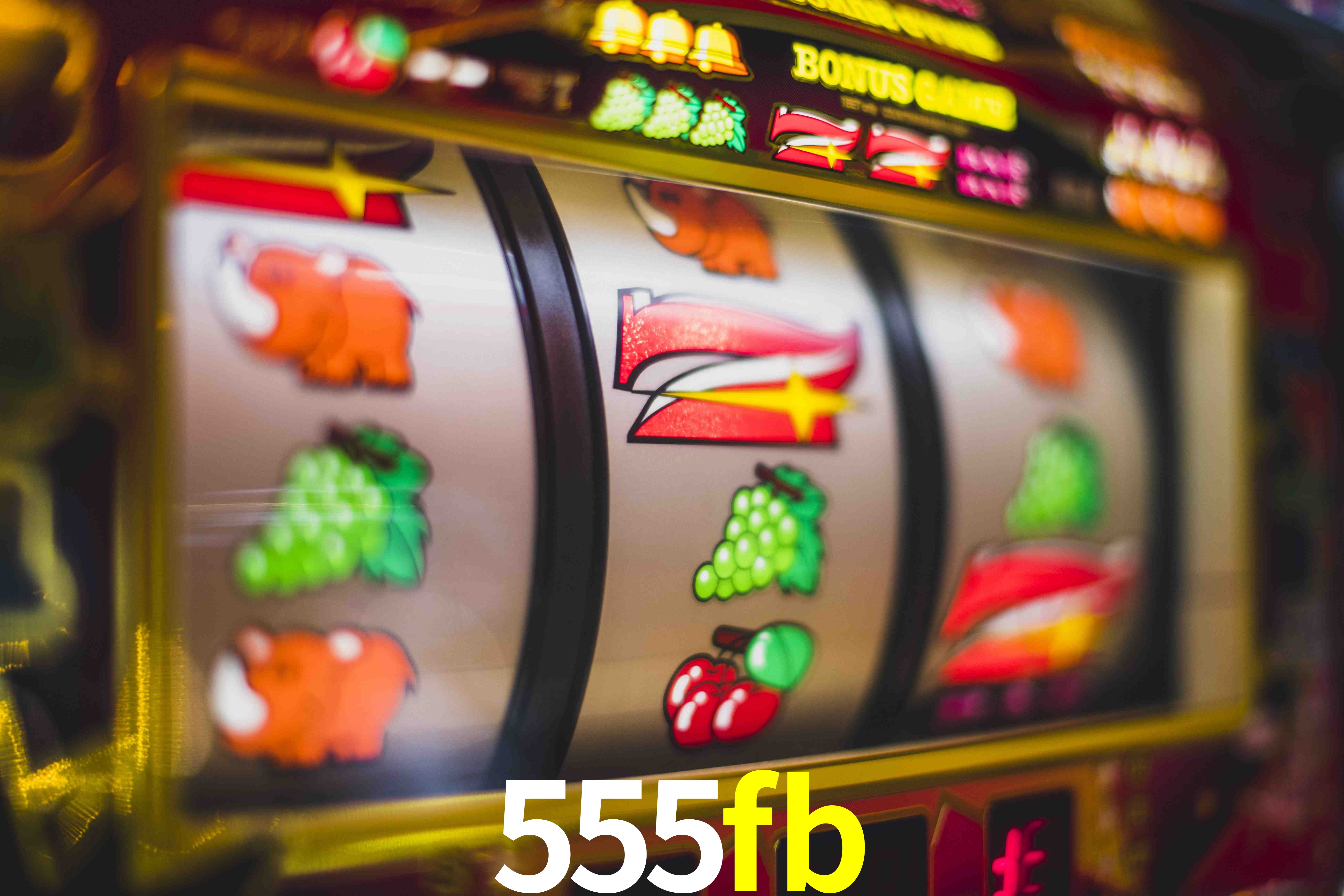 Basketball Betting 555fb